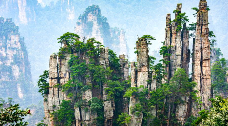 Nous offrons une sélection diversifiée d'options de location de voitures à Zhangjiajie.